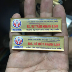 Huy hiệu gài áo bằng kim loại cao cấp