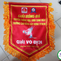co-luu-niem-doi-vo-dich