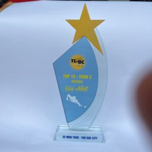Kỷ niệm chương bida thiết kế theo yêu cầu