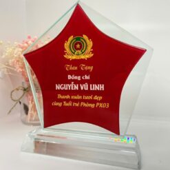 Mẫu kỷ niệm chương ngôi sao đẹp