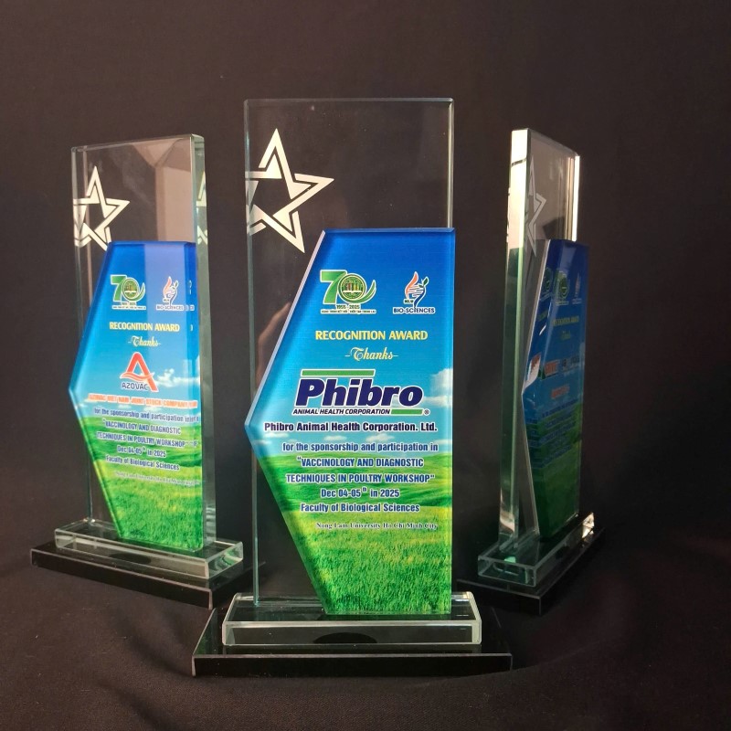Mẫu cup thủy tinh lưu niệm cuối năm