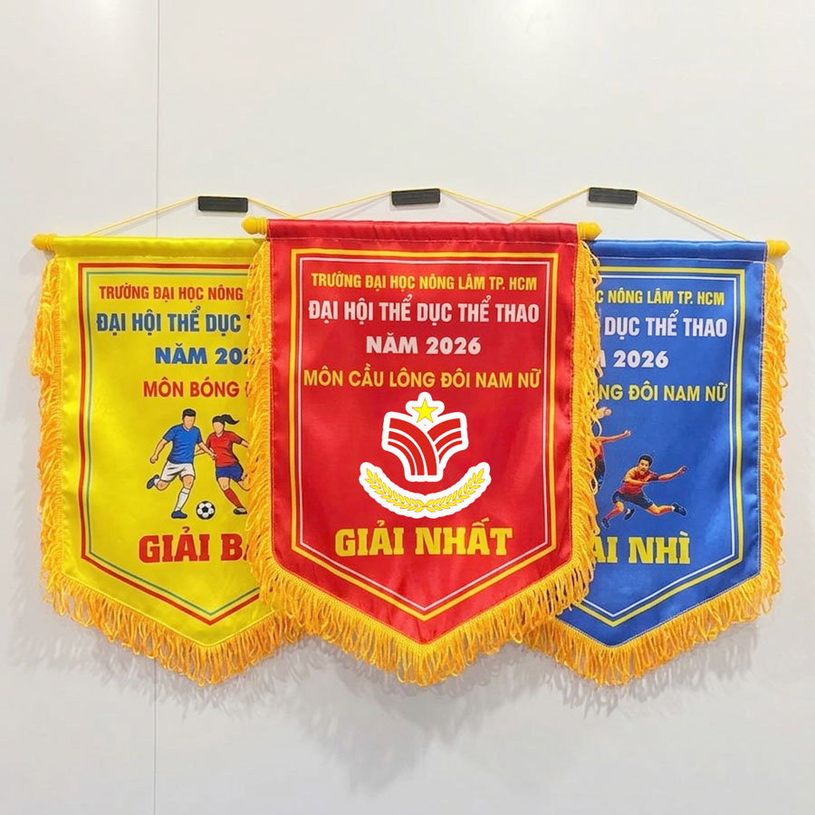 cờ giải đại hội thể dục thể thao