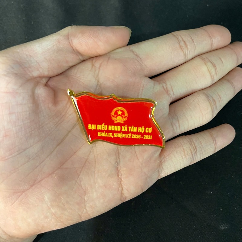 huy-hieu-dai-bieu-cai-ao-nhiem-ky-2026-2031