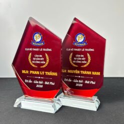 Cup pha lê vinh danh hlv võ thuật