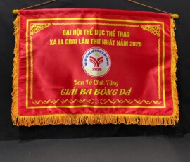 Cờ đại hội thể dục thể thao